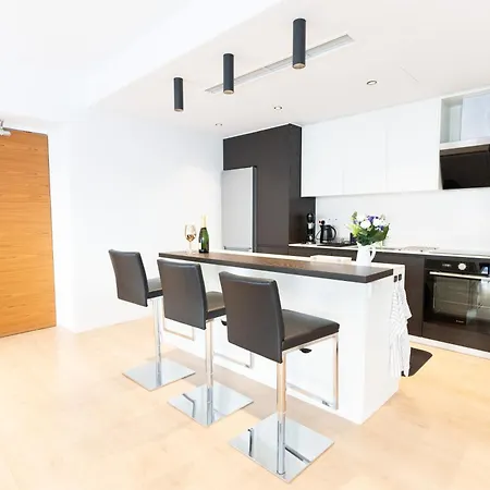 Deluxe Downtown With Spacious Balcony Apartment